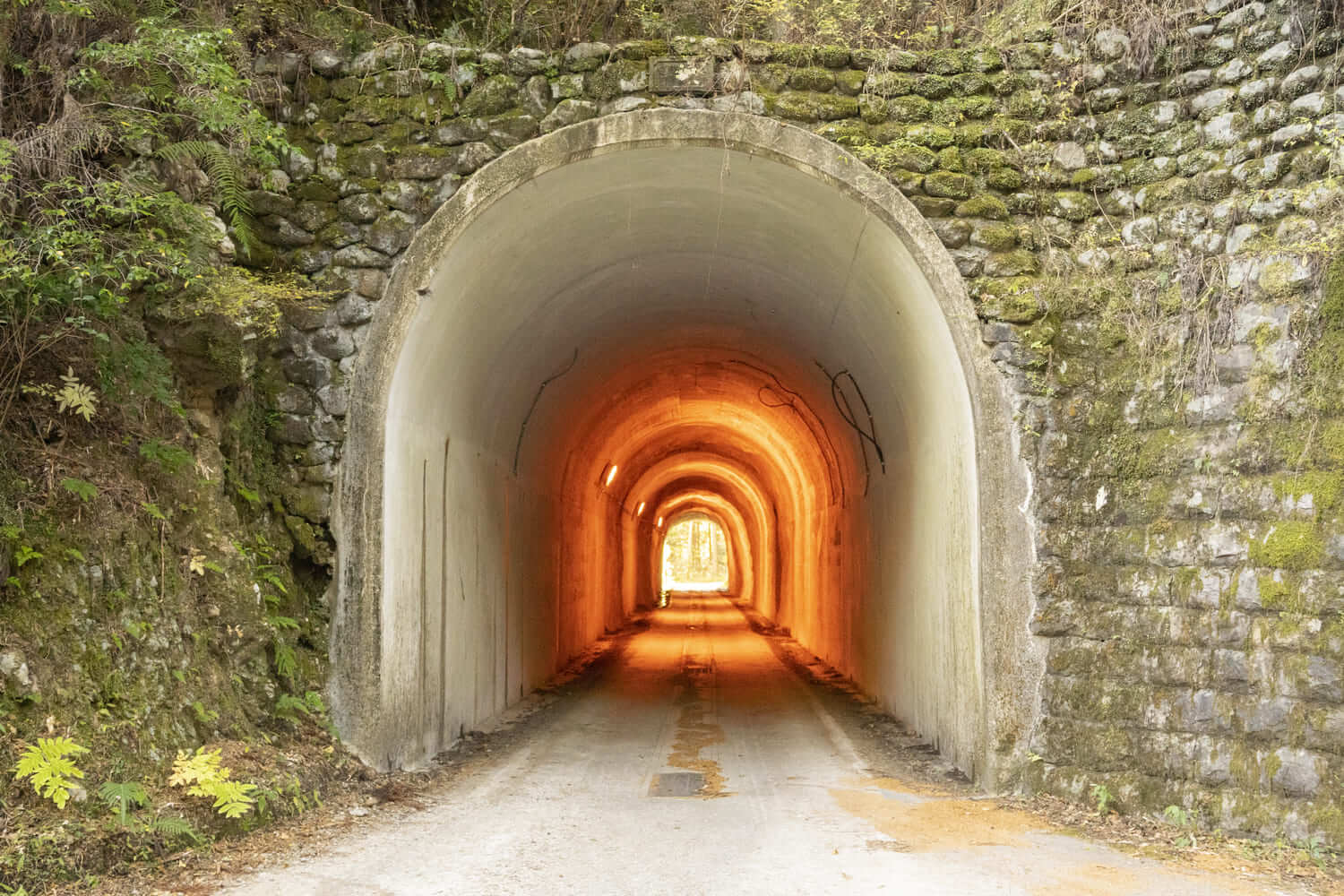 枝折（しおり）トンネル